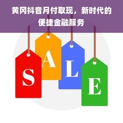 黄冈抖音月付取现，新时代的便捷金融服务
