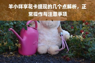 羊小咩享花卡提现的几个点解析，正常操作与注意事项