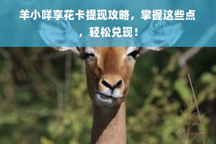 羊小咩享花卡提现攻略，掌握这些点，轻松兑现！
