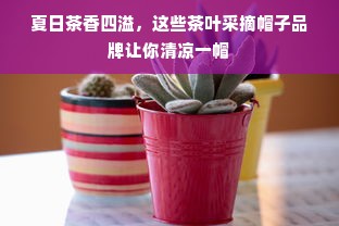 夏日茶香四溢，这些茶叶采摘帽子品牌让你清凉一帽