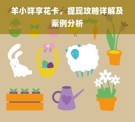 羊小咩享花卡，提现攻略详解及案例分析
