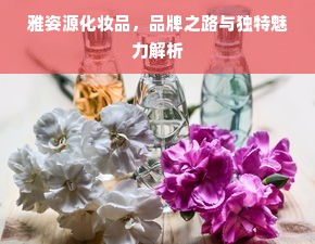 乌海舞蹈地板品牌大盘点，品质与艺术的完美融合