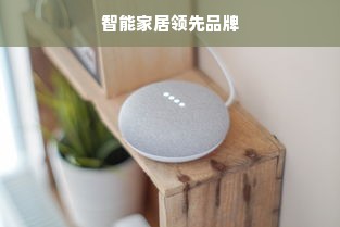 智能家居领先品牌