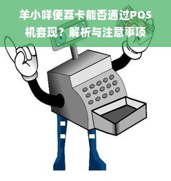 羊小咩便荔卡能否通过POS机套现？解析与注意事项
