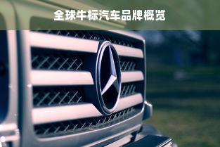 全球牛标汽车品牌概览