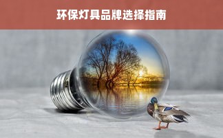 环保灯具品牌选择指南