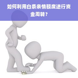 如何利用白条亲情额度进行资金周转？