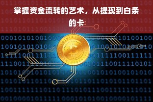 掌握资金流转的艺术，从提现到白条的卡