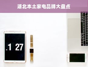 湖北本土家电品牌大盘点