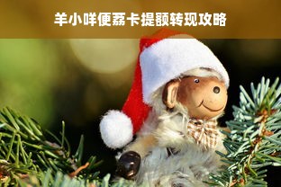 羊小咩便荔卡提额转现攻略