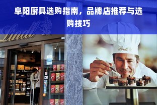 阜阳厨具选购指南，品牌店推荐与选购技巧