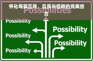 怀化母婴品牌，品质与信赖的完美结合