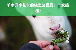 羊小咩享花卡的钱怎么提现？一文搞懂！