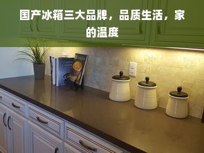 国产冰箱三大品牌，品质生活，家的温度
