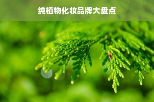 盘点全球最受欢迎的单机回合制游戏排行