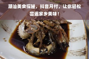 潮汕美食探秘，抖音月付，让你轻松尝遍家乡美味！