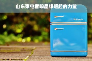 山东家电音响品牌崛起的力量