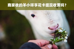 商家收的羊小咩享花卡提现收费吗？