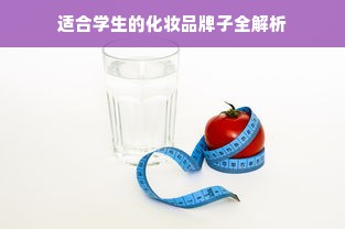 鹿优选额度使用指南，额度内使用无压力，超额度小心翻车