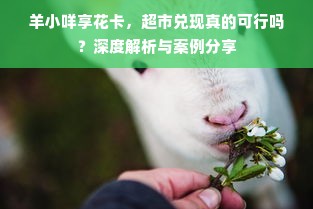 羊小咩享花卡，超市兑现真的可行吗？深度解析与案例分享