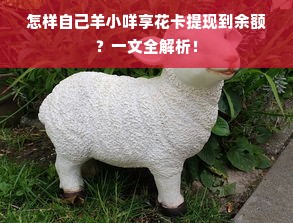 怎样自己羊小咩享花卡提现到余额？一文全解析！