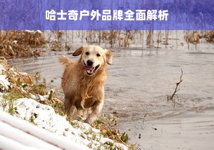 哈士奇户外品牌全面解析