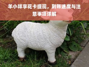 羊小咩享花卡提现，到账速度与注意事项详解