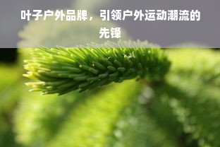 叶子户外品牌，引领户外运动潮流的先锋