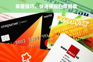 掌握技巧，快速提现白条额度