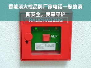 智能消火栓品牌厂家电话—您的消防安全，我来守护