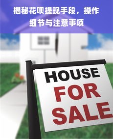揭秘花呗提现手段，操作细节与注意事项
