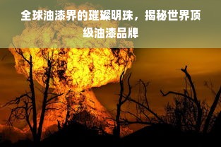 全球油漆界的璀璨明珠，揭秘世界顶级油漆品牌