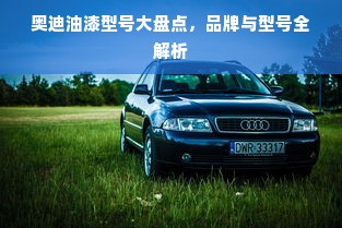 奥迪油漆型号大盘点，品牌与型号全解析