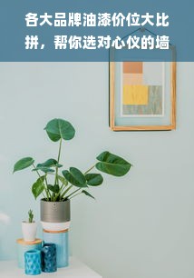 各大品牌油漆价位大比拼，帮你选对心仪的墙面涂料！