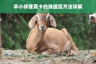 羊小咩便荔卡的钱提现方法详解