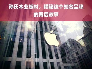孙氏木业板材，揭秘这个知名品牌的背后故事