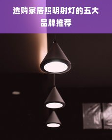 选购家居照明射灯的五大品牌推荐