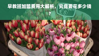 早教班加盟费用大解析，究竟要花多少钱？