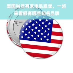 美国当然有家电品牌卖，一起来看都有哪些知名品牌