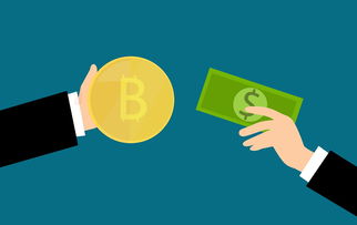 微信分付数字码提现攻略，轻松实现资金自由