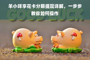 羊小咩享花卡分期提现详解，一步步教你如何操作