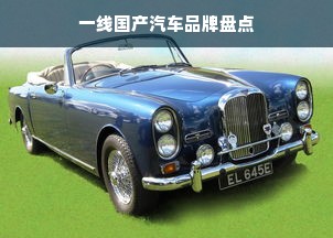 一线国产汽车品牌盘点