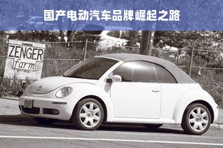 国产电动汽车品牌崛起之路