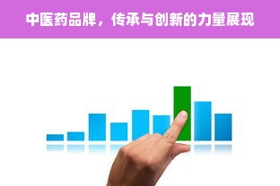 中医药品牌，传承与创新的力量展现