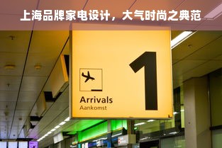 上海品牌家电设计，大气时尚之典范