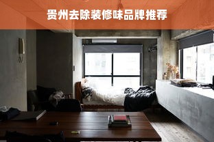 贵州去除装修味品牌推荐