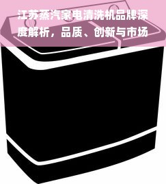 江苏蒸汽家电清洗机品牌深度解析，品质、创新与市场的完美结合
