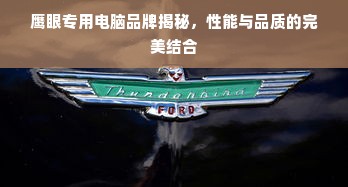 鹰眼专用电脑品牌揭秘，性能与品质的完美结合