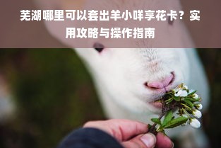 沱江干洗店品牌大盘点，哪家是你的心头好？