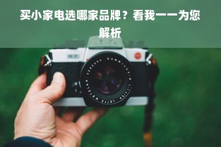 买小家电选哪家品牌？看我一一为您解析